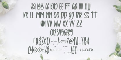 Bilnesa Font Poster 5