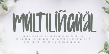 Bilnesa Font Poster 6