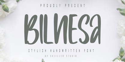Bilnesa Font Poster 1