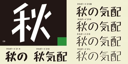 Takaboy21 Font Poster 2
