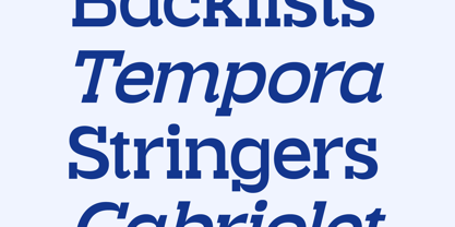 Burgela Font Poster 6