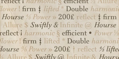 Meetake Serif Font Poster 6