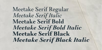 Meetake Serif Font Poster 2