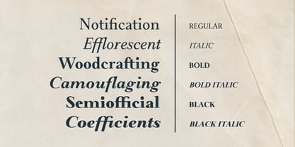 Meetake Serif Font Poster 7