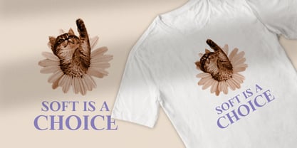 Meetake Serif Font Poster 12