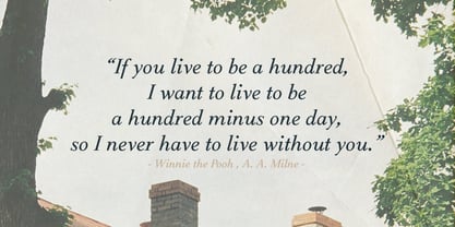 Meetake Serif Font Poster 4