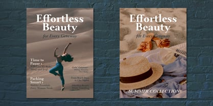 Meetake Serif Font Poster 9