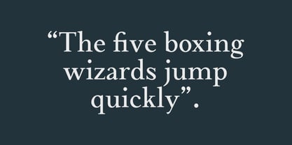 Meetake Serif Font Poster 3