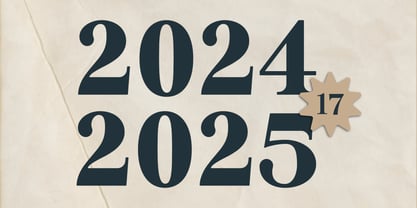 Meetake Serif Font Poster 14