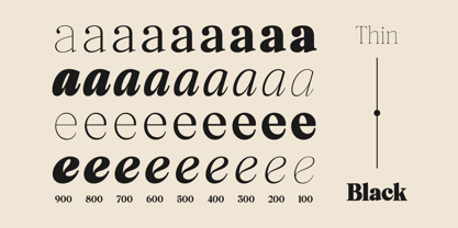 Elfreya Font Poster 14