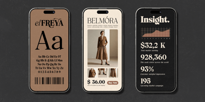 Elfreya Font Poster 5