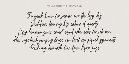 Hamillson Font Poster 7