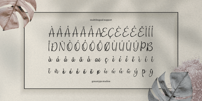 Cafricot Lissendra Font Poster 11