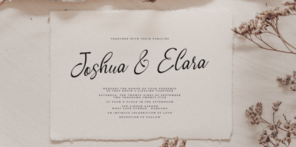 Cafricot Lissendra Font Poster 5