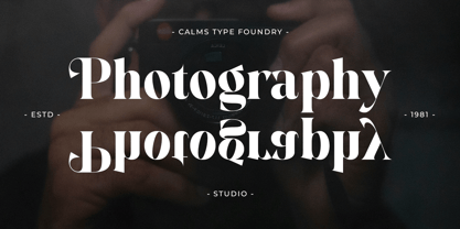 The Ravella Awesome Font Poster 8