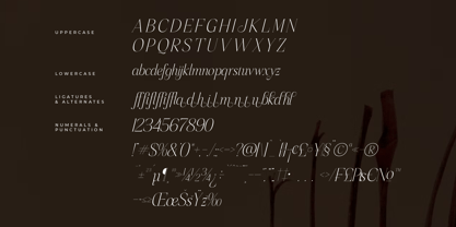 Sageffine Font Poster 8