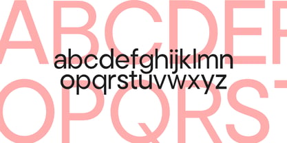 Noverion Sans Font Poster 15