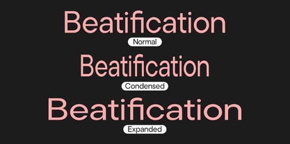 Noverion Sans Font Poster 11