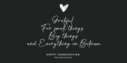 Cintarini Font Poster 4