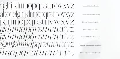 Editorial Ghaslaro Font Poster 12