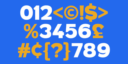 Rafigo Font Poster 9