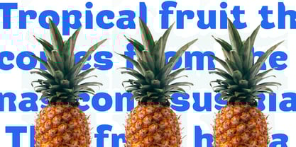 Rafigo Font Poster 5