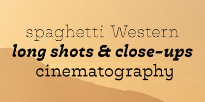 Cattivo Font Poster 6