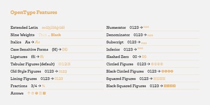 Cattivo Font Poster 14