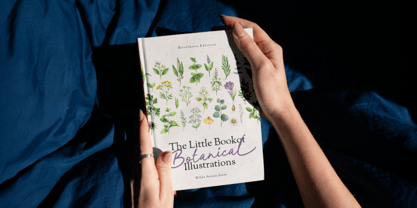 Enchanted Calithea Font Poster 8