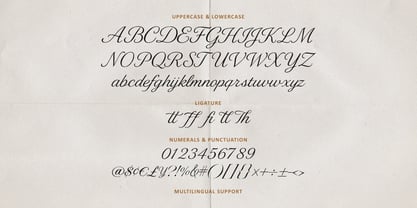 MC De Lesa Paquetts Font Poster 6