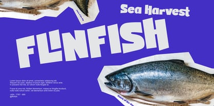 Mayhim Font Poster 4