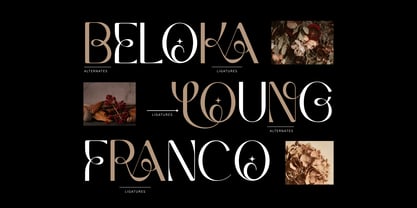Meslay Font Poster 4