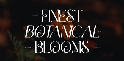 Meslay Font Poster 7