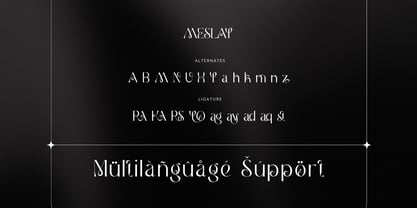 Meslay Font Poster 14