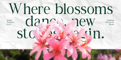 Haven Kindred Font Poster 4