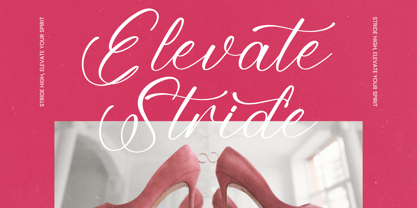 Blodie Natalia Font Poster 4