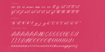 Blodie Natalia Font Poster 8