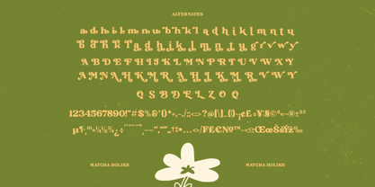 Matcha Holiks Font Poster 15