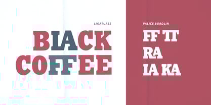 MC Palice Brodlin Font Poster 7