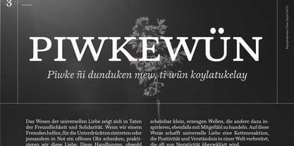 Gotta Scotch Font Poster 3