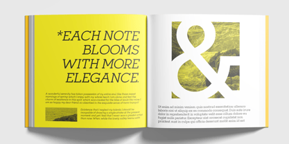 Mirk Slab Variable Font Poster 4