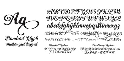 Sefillia Script Font Poster 9