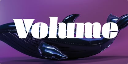 Manometer Next Font Poster 4