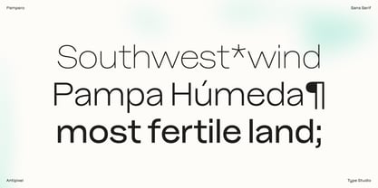 Pampero Font Poster 11