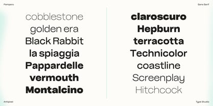 Pampero Font Poster 5
