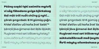 Pampero Font Poster 10