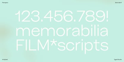 Pampero Font Poster 8