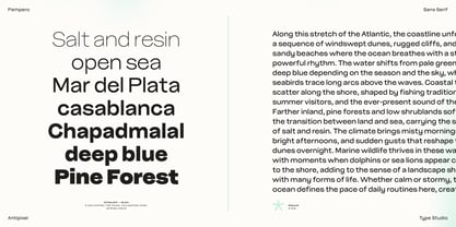 Pampero Font Poster 2