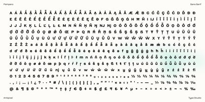 Pampero Font Poster 14