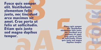 R41 Ritmo Font Poster 5